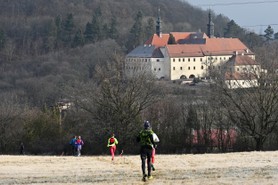 DSC_6512.JPG