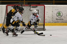 DSC_6642.jpg