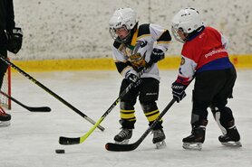 DSC_6650.jpg