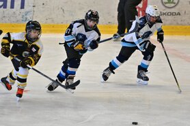 DSC_7479.jpg