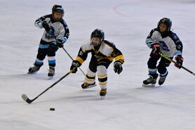 DSC_7558.jpg