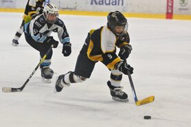 DSC_7596.jpg