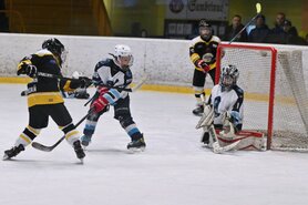 DSC_7651.jpg