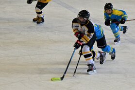 DSC_8488.jpg