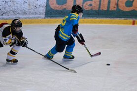 DSC_8513.jpg