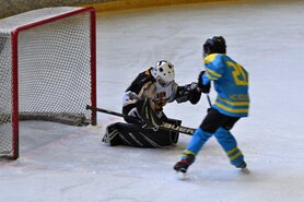DSC_8544.jpg