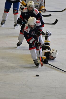 DSC_1131.jpg