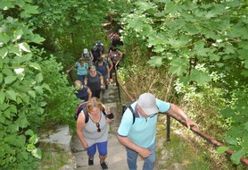 DSC_2213.jpg
