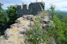DSC_2215.jpg