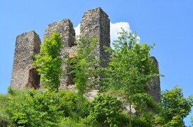 DSC_2223.jpg