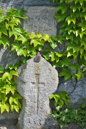DSC_2226.jpg
