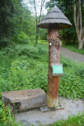 DSC_2243.jpg