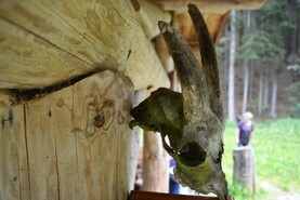 DSC_2246.jpg