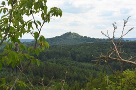 DSC_2266.jpg