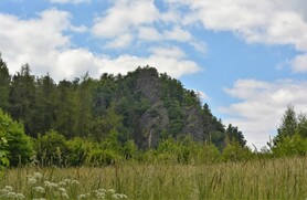 DSC_2275.jpg