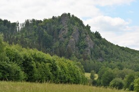DSC_2278.jpg