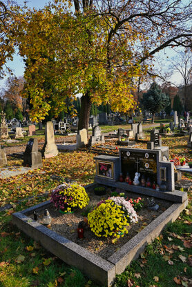 DSC_5317.jpg