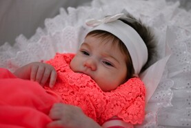 DSC_2598.jpg